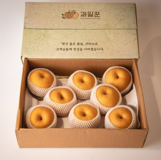 과일꾼 나주배 5kg 9과는 어느 정도 크기일까? 가정용 햇배 고를 때 본 기준