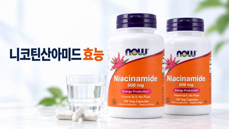 니코틴산아미드 효능, 나우푸드 나이아신아마이드 500mg 복용 전 체크
